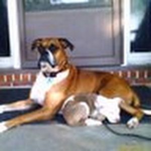 Meet your Posher, Linda m